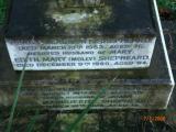 image of grave number 35330